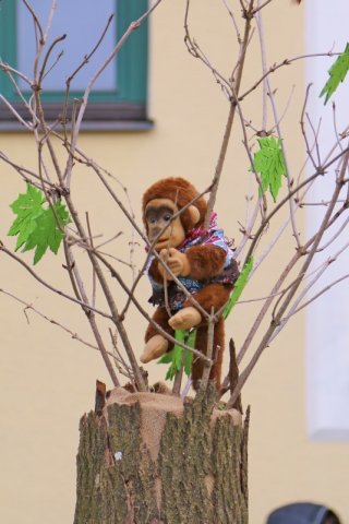 Faschingsumzug 2023 (Fotos Rochus Hetzendorfer)